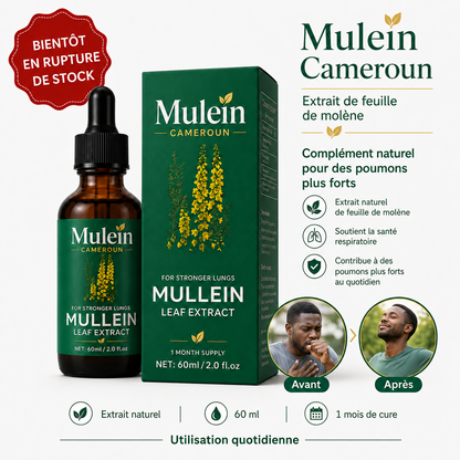 Mullein Leaf Extract - Complément Alimentaire pour Poumons Plus Forts