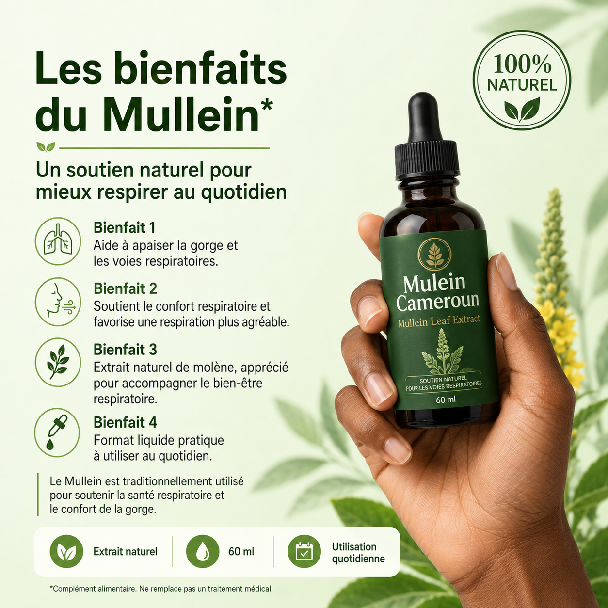 Mullein Leaf Extract - Complément Alimentaire pour Poumons Plus Forts
