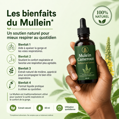 Mullein Leaf Extract - Complément Alimentaire pour Poumons Plus Forts